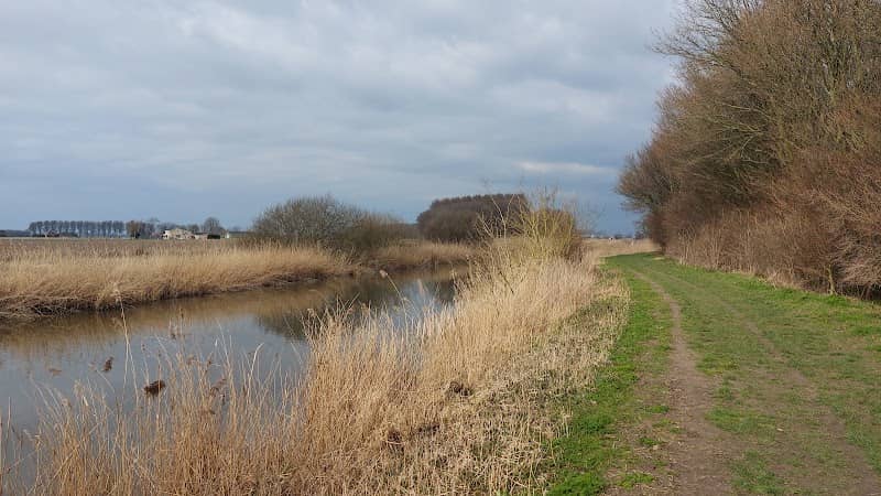 Zuid-Beijerlandse Bos - Image 2