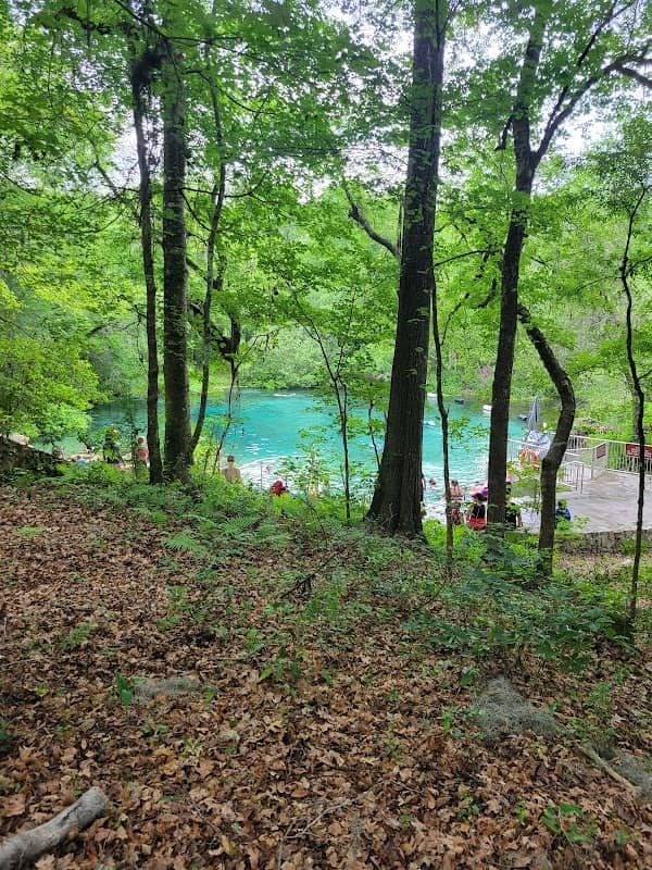 ichetucknee springs - Image 3