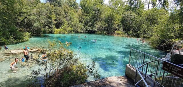 ichetucknee springs - Image 1
