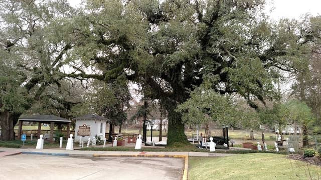 Evangeline Oak Park - Image 2