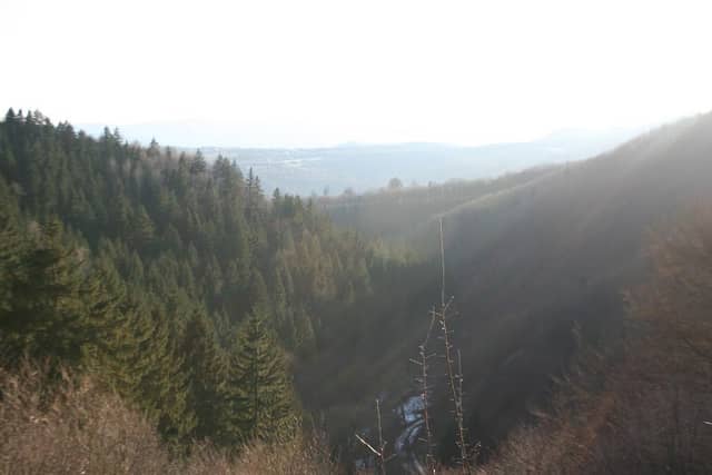 Náučný chodník Šachtička – Sásová - Image 1