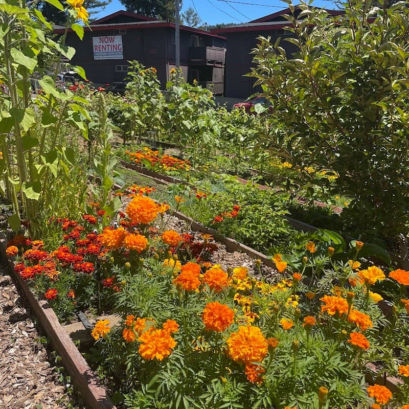 Sanctuary Garden of Centro del Pueblo - Image 2