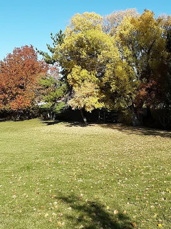 Forest Green Park - Image 1