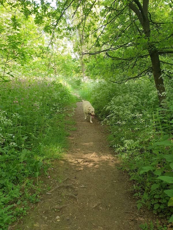 Hatton Park - Image 2