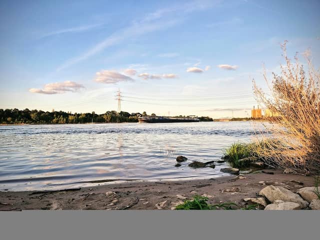 Rheinaue Ehingen - Image 2