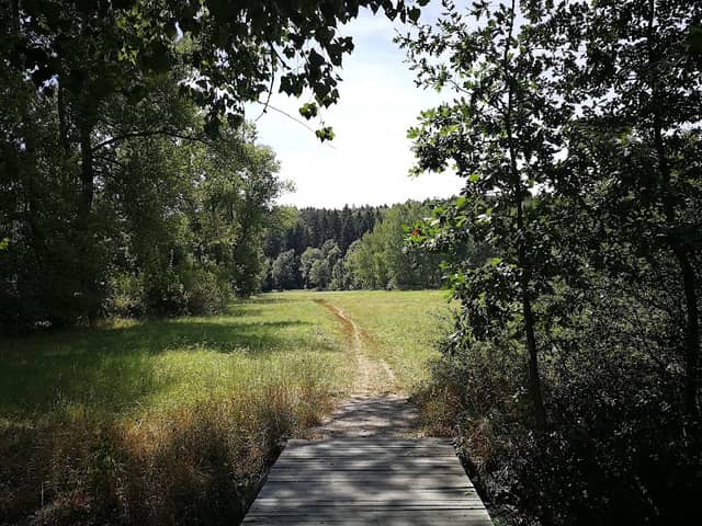 Kalspot - Image 1