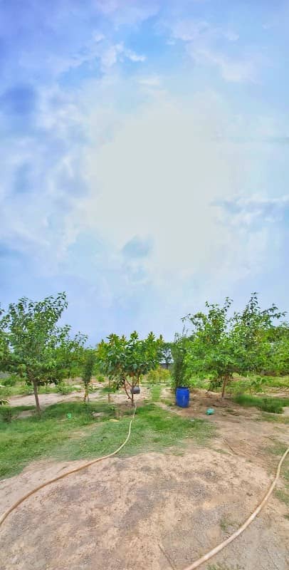 Khaderkhel park - Image 1