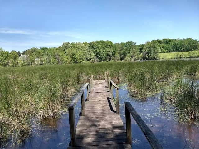Simmons Arboretum - Image 2