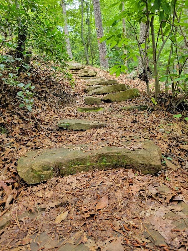 Bartram Trail Trailhead: Hickory Knoll Road - Image 2