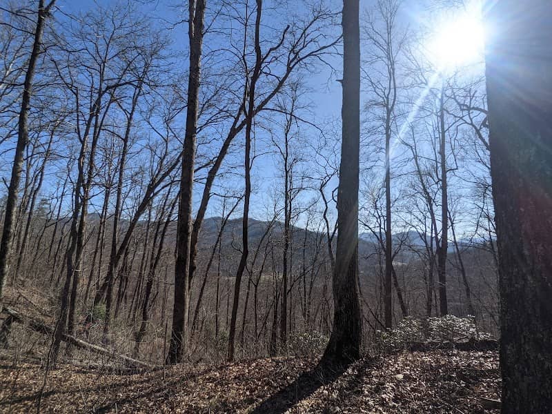 Bartram Trail Trailhead: Hickory Knoll Road - Image 1