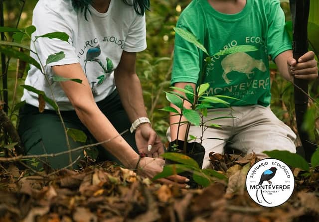 Ecological Sanctuary - Image 1