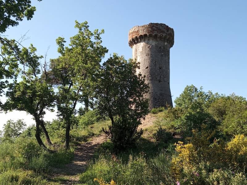 Torre di Vegliasco - Image 2
