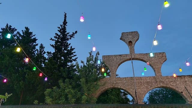 Dilek Ağacı - Image 1
