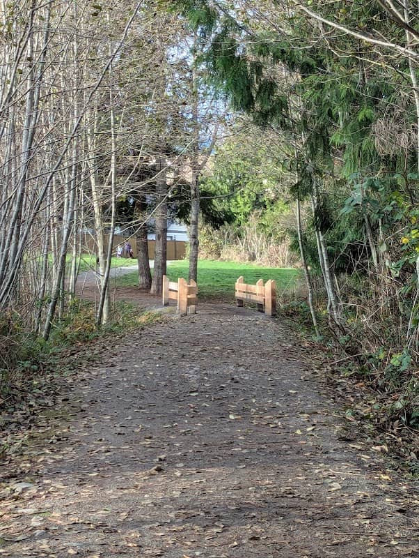 Rowan Pond - Image 1