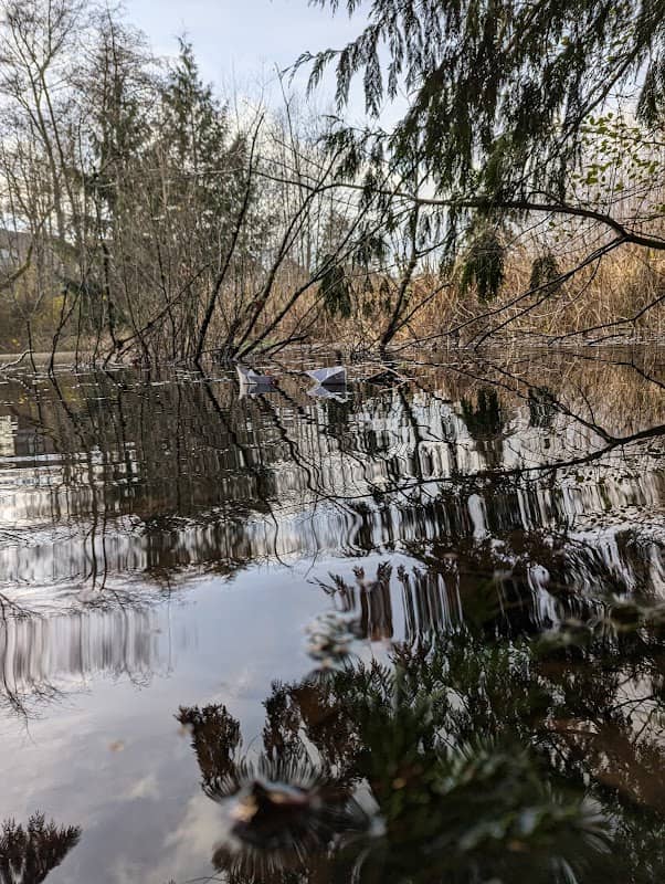 Rowan Pond - Image 2