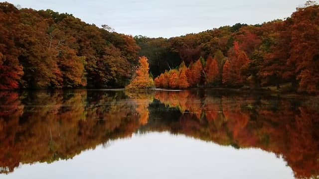 White Oak Nature Preserve - Image 2