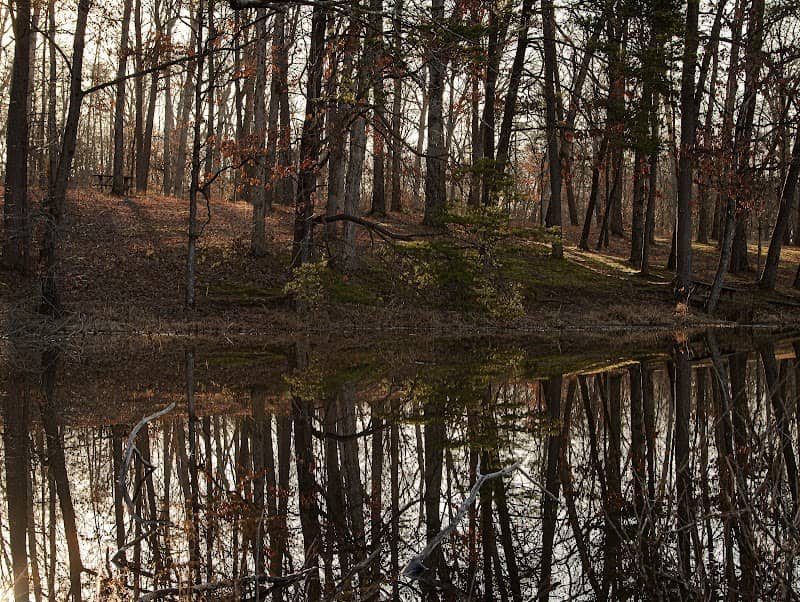 White Oak Nature Preserve - Image 1
