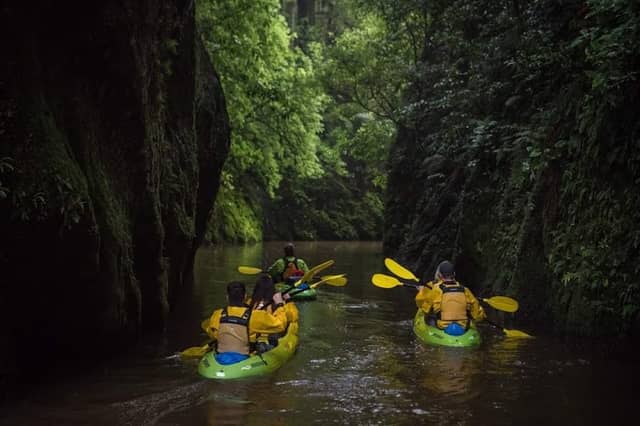RAW Glow Worms - Image 1