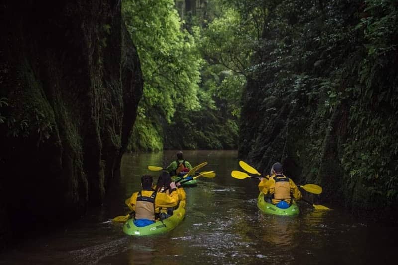 RAW Glow Worms - Image 1