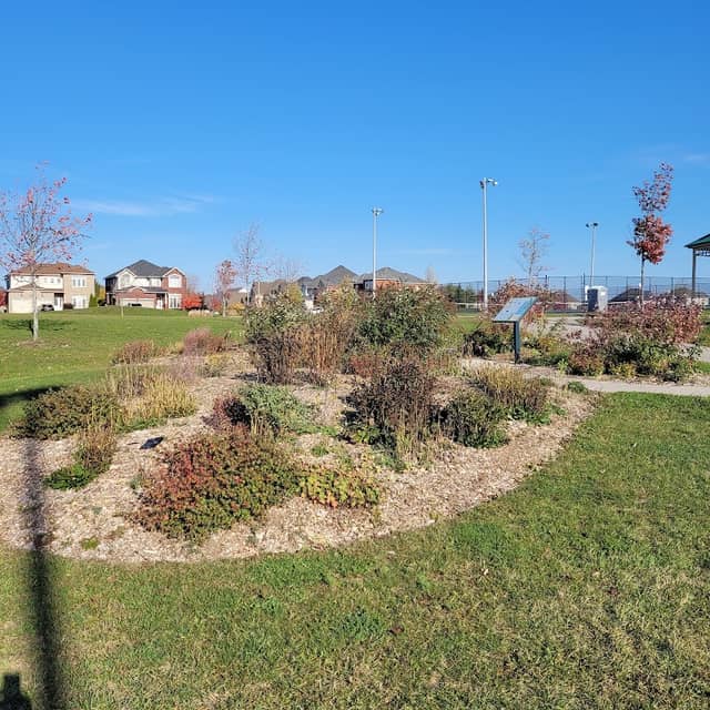Butterfly Garden - Image 2