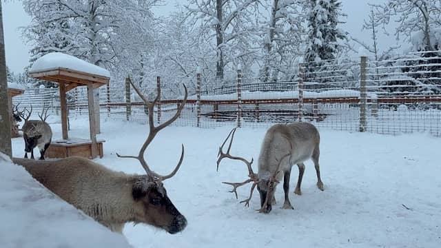 Reindeer Ranger Station - Image 1