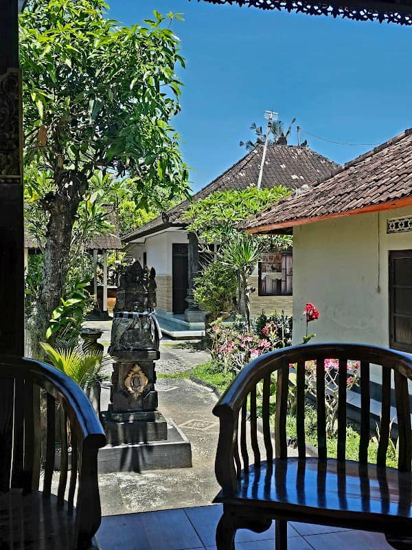 Ayurveda traditional medicine - Image 1