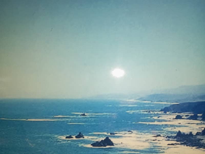 Llico bajo - Image 1