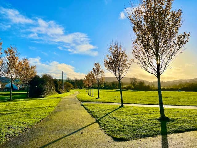 Carrigmore Park - Image 2