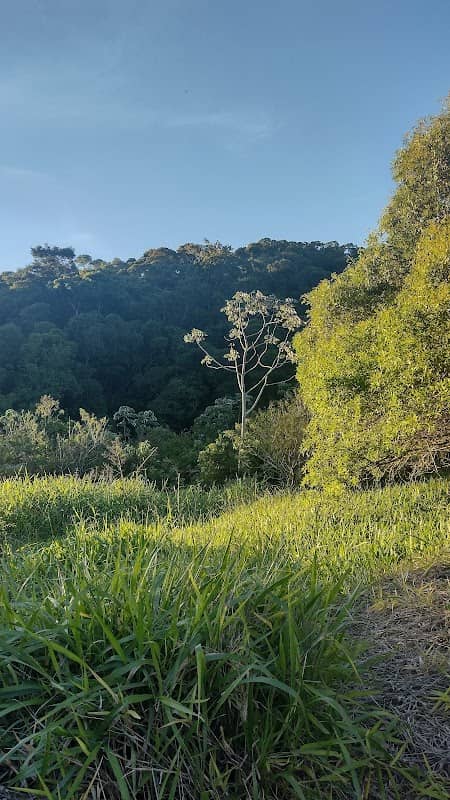 Reserva Florestal Serra Japi - Image 2