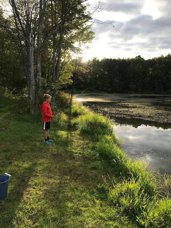 Jackson Pond Park - Image 2
