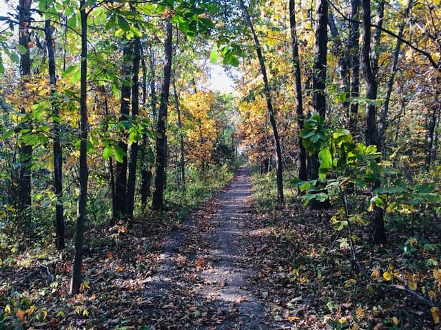 Stone Creek Nature Trail - Image 2