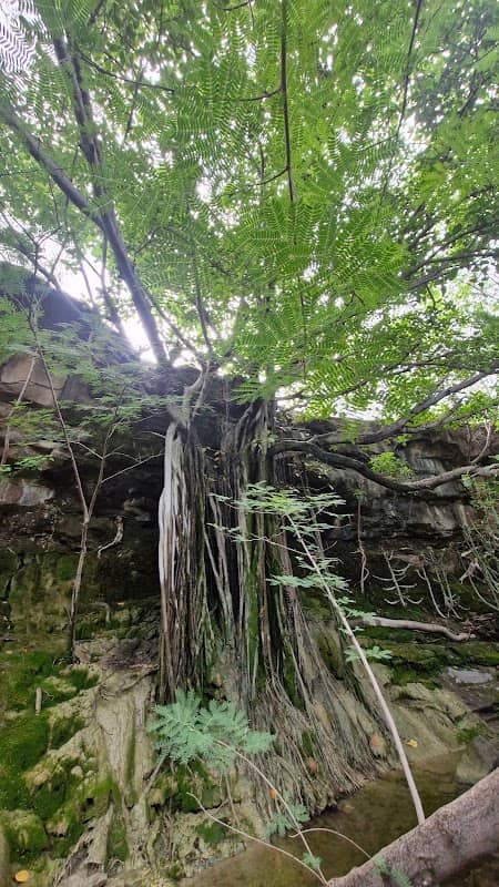 Kangaro waterfall - Image 1