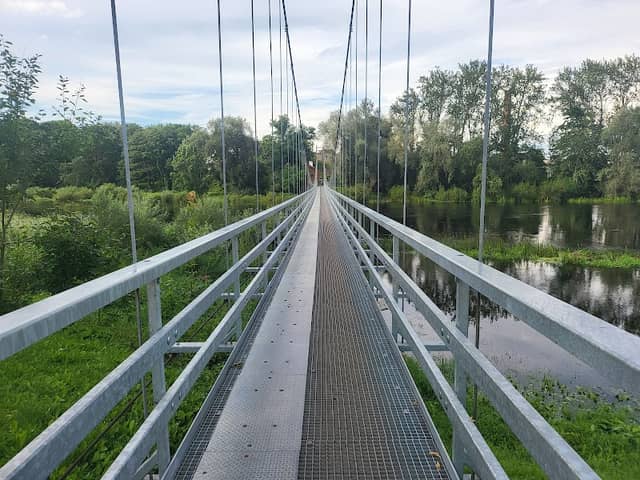 Melnais gailis bumbā - Image 2