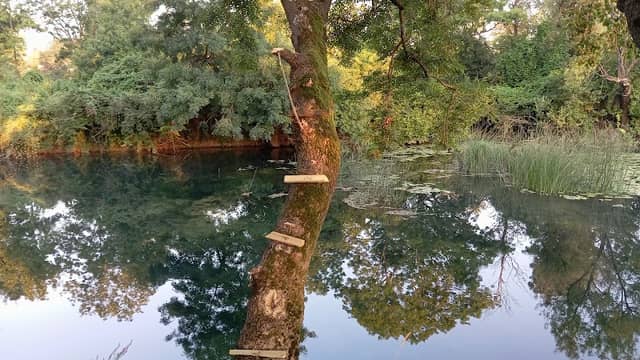 Kupalište na mrežnici - Image 1