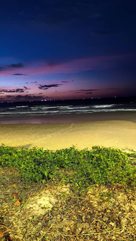 Pico Litorânea - Image 1