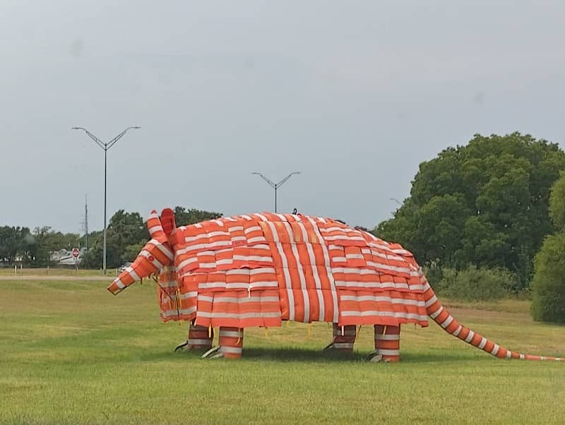 Giant Armadillo - Image 1