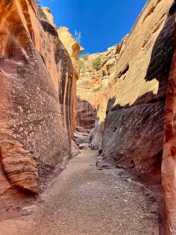 Cottonwood Wash Trailhead - Image 1