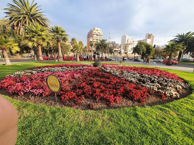 Flower clock - Image 2