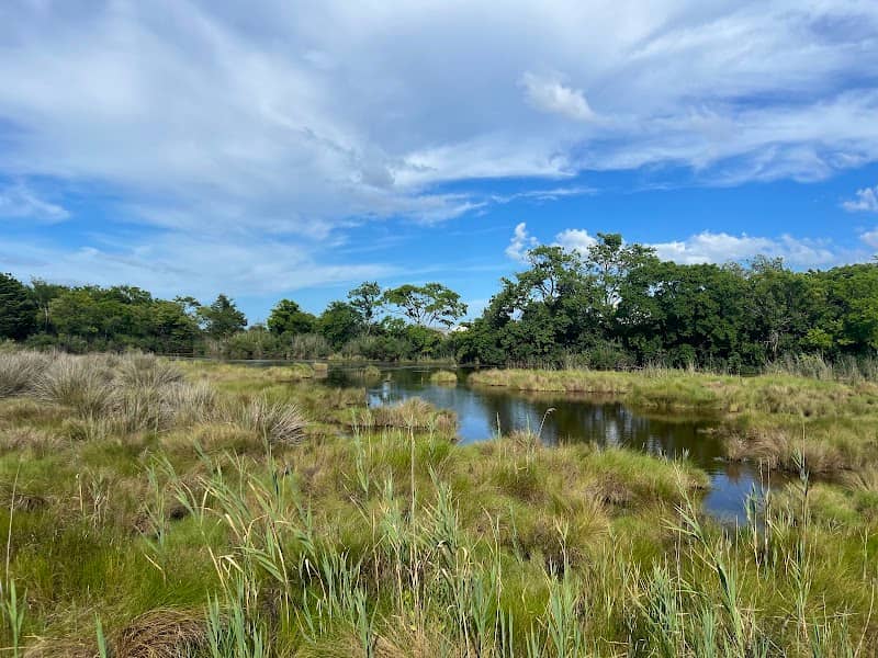 Grandview Nature Preserve - Image 2