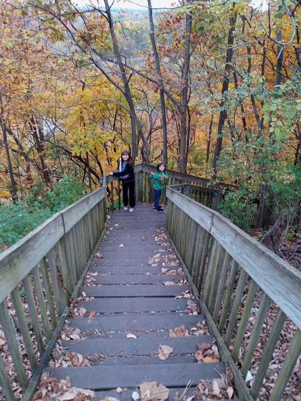 Merom Bluff Board Walk Nature Trail - Image 2