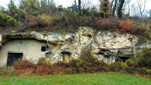 Savelsbos - Image 1