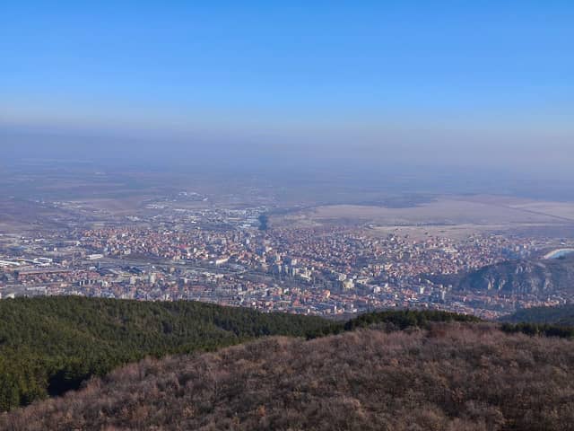 Лалова пейка - Image 1