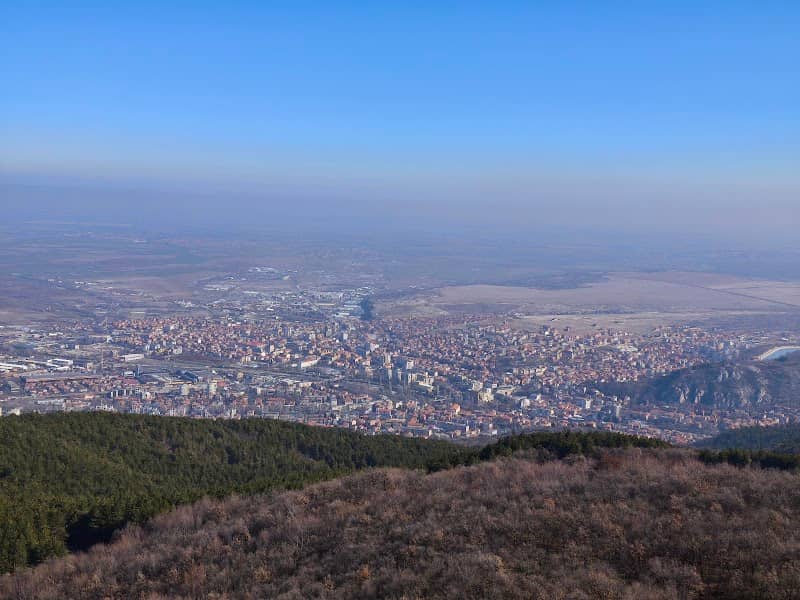 Лалова пейка - Image 1