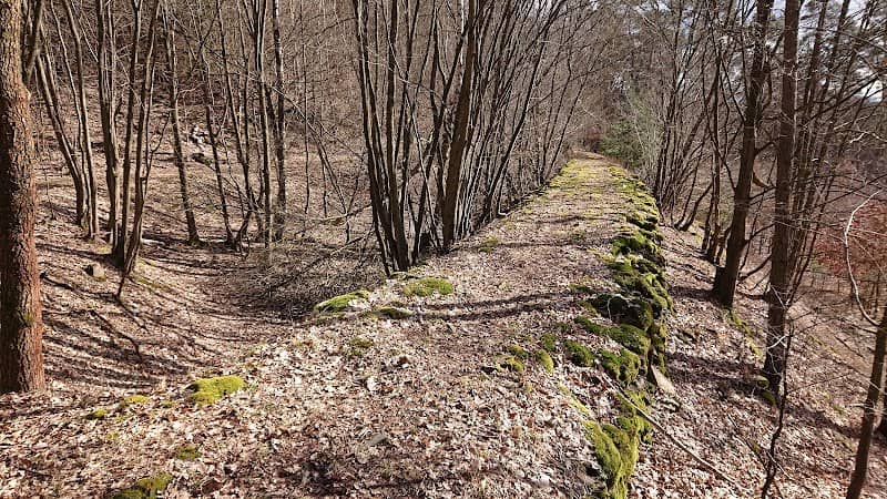 Bývalá koněspřežná dráha - Image 1