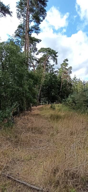 Kiesgrube - Image 1