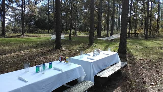 Pine Hill Plantation - Image 1