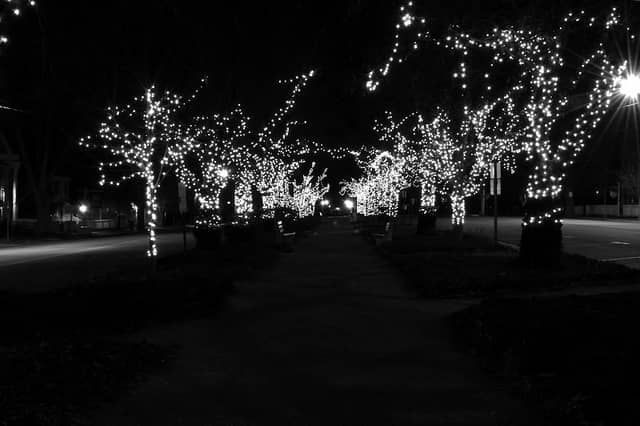 Middle Path - Image 2