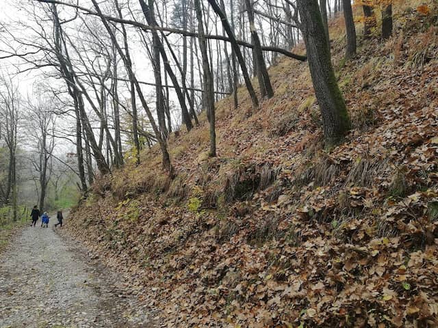 Pot Na Debni Vrh - Image 2