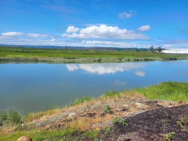Hamilton Landing Park - Image 3