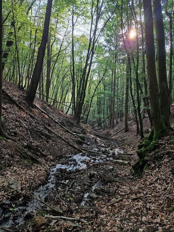 Ólomároki-forrás - Image 1